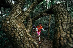 BIB: 
                            <button type="button" onclick="openModal(25393987)" class="btn btn-primary btn-sm float-right btn-popup" data-toggle="modal" data-target=".modal-high-quality">
                        <i class="fas fa-shopping-cart"></i> Add to Cart
                    </button>
                                            <button type="button" onclick="isThisMe(25393987, true)" class="btn btn-success btn-sm float-right btn-popup btn-isme hidden" data-toggle="tooltip" data-placement="bottom" title="นี่คือรูปของคุณใช่ไหม คลิกที่นี่เพื่อเอาเข้าอัลบั้ม">
                        <i class="fas fa-plus"></i> Add to album
                    </button>
                    <button type="button" onclick="isThisMe(25393987, false)" class="btn btn-warning btn-sm float-right btn-popup btn-isnotme hidden">
                        <i class="fas fa-ban"></i> Remove from album
                    </button>